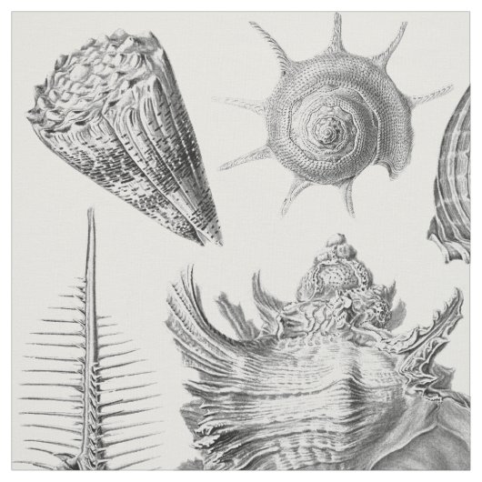 Vintage Seashells Stoff (Muster)