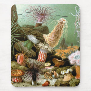 Vintage Seeanemonen, Meeresleben Ozean Tiere Mousepad