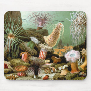 Vintage Seeanemonen, Meeresleben Ozean Tiere Mousepad