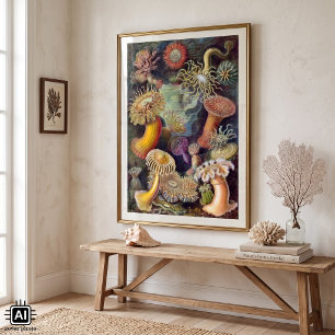 Vintage Seeanemonen von Ernst Haeckel Poster
