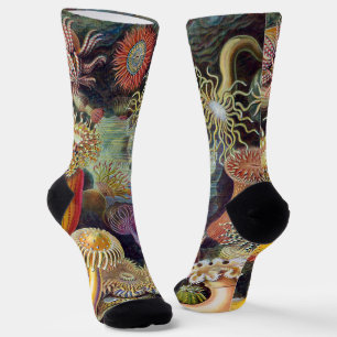 Vintage Seeanemonen von Ernst Haeckel Socken