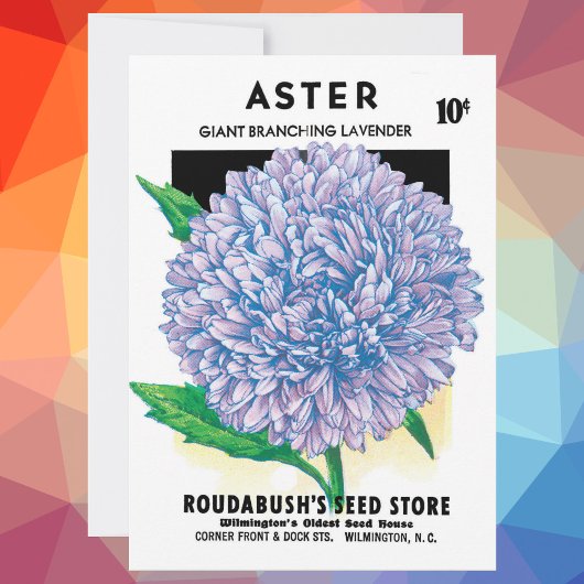 Vintage Seed Packet Art, Lila Aster-Blume