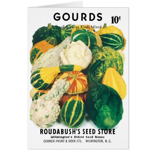 Vintage Seed Packet Art, Mixed Gourds Squash (Vorne)