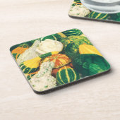 Vintage Seed Packet Art, Mixed Gourds Squash Getränkeuntersetzer (Linke Seite)