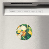 Vintage Seed Packet Art, Mixed Gourds Squash Magnet (In Situ (Geschirrspüler))