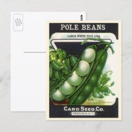 Vintage Seed Packet Label Art, Pole Lima Beans Postkarte