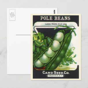Vintage Seed Packet Label Art, Pole Lima Beans Postkarte