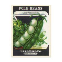 Vintage Seed Packet Label Art, Pole Lima Beans