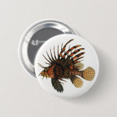Vintage Seefische, Meeresorganismen Button (Vorne & Hinten)
