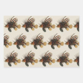 Vintage Seefische, Meeresorganismen Geschenkpapier Set (Vorderseite 3)