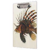 Vintage Seefische, Meeresorganismen Klemmbrett (Links)