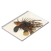 Vintage Seefische, Meeresorganismen Notizblock (Linke Seite)