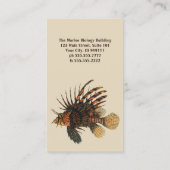 Vintage Seefische, Meeresorganismen Visitenkarte (Rückseite)