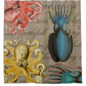 Vintage Seegeschöpf-Kraken-Tintenfisch-Kopffüßer Duschvorhang (Vorderseite)