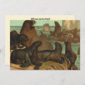 Vintage Seelöwen am Strand, Meerestiere (Vorne/Hinten)