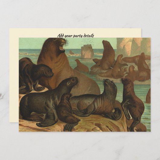 Vintage Seelöwen am Strand, Meerestiere (Vorne/Hinten)