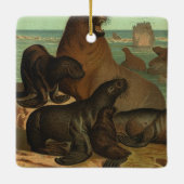 Vintage Seelöwen am Strand, Meerestiere Keramikornament (Rückseite)