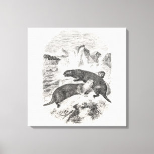 Vintage Seeotter 1800s Otter-Illustration Leinwanddruck