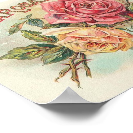 Vintage Seifenwerbung Poster (Ecke)