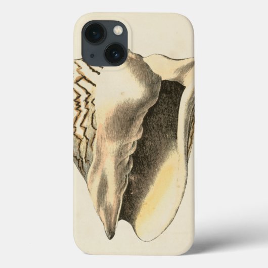 Vintage Sepia Conch-Muschel Case-Mate iPhone Hülle (Rückseite)