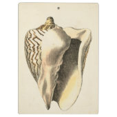 Vintage Sepia Conch-Muschel Klemmbrett (Rückseite)