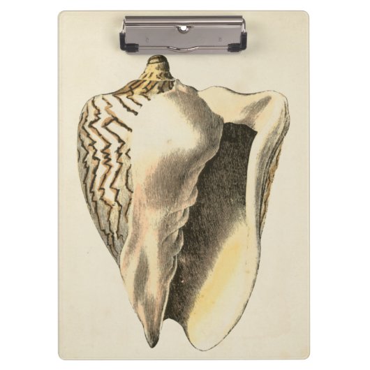 Vintage Sepia Conch-Muschel Klemmbrett (Vorderseite)