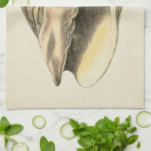 Vintage Sepia Conch-Muschel Küchentuch (Gefaltet)