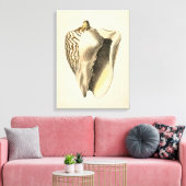 Vintage Sepia Conch-Muschel Leinwanddruck (Insitu (Wohnzimmer))