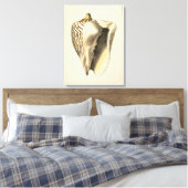 Vintage Sepia Conch-Muschel Leinwanddruck (Insitu (Schlafzimmer))