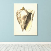 Vintage Sepia Conch-Muschel Leinwanddruck (Insitu (Holzboden))
