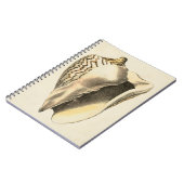 Vintage Sepia Conch-Muschel Notizblock (Linke Seite)