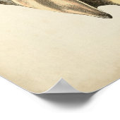 Vintage Sepia Conch-Muschel Poster (Ecke)