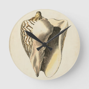 Vintage Sepia Conch-Muschel Runde Wanduhr