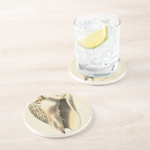 Vintage Sepia Conch-Muschel Sandstein Untersetzer (Seite)