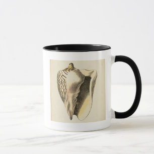 Vintage Sepia Conch-Muschel Tasse