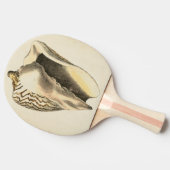 Vintage Sepia Conch-Muschel Tischtennis Schläger (Seitenansicht)