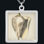 Vintage Sepia Conch-Muschel Versilberte Kette<br><div class="desc">Von diesen Muscheln des Conch hört man das Meer laut und deutlich! Wenn Sie gestresst sind,  stellen Sie sich am warmen Sandstrand vor. Diese Muschel von Conch ist ein großartiges Kunstwerk mit einem sepia-Hintergrund,  das das Bild deutlich schärfer macht.</div>