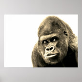 Vintage Sepia Gorilla Poster (Vorne)