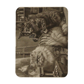 Vintage-Sepia-Katzen-Tätowierer – Lustig viktorian Magnet