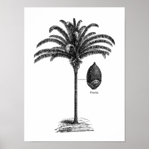Vintage-Sepia-Retro-Vorlage eines brasilianischen Poster