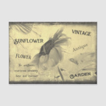 Vintage Sepia Tone Sonnenblume Ephemera Textur