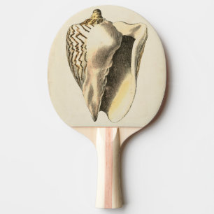 Vintage Sepia-Tritonshorn-Muschel Tischtennis Schläger