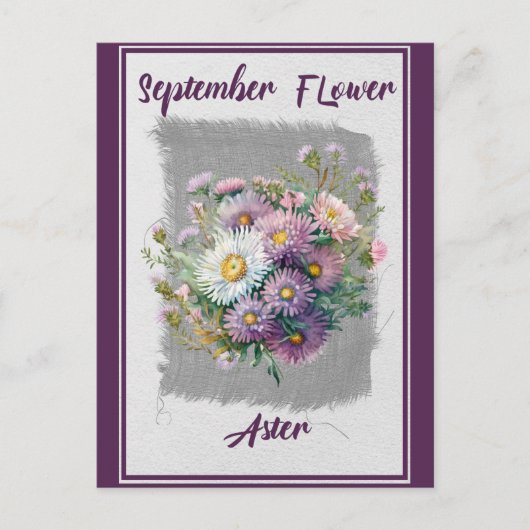 Vintage September Blume Aster Floral Postkarte (Vorderseite)