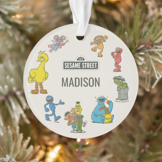Vintage Sesame Street Characters Ornament (Baum)
