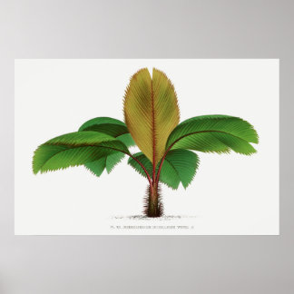 Vintage Seychellen-Palmen-Druck Poster