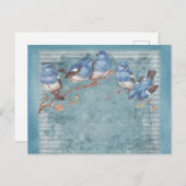 Vintage Shabby Chic Pretty Floral Birds Postkarte (Vorne/Hinten)