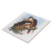 Vintage Shaheen Falcon Bird Tieranschauung Fliese (Seite)