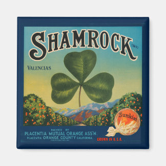 Vintage Shamrock Orange Magnetisch Magnet