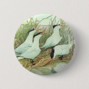 Vintage Shorebirds in Marsh von Louis Futes Button