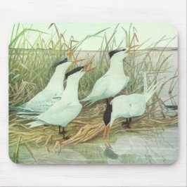 Vintage Shorebirds in Marsh von Louis Futes Mousepad